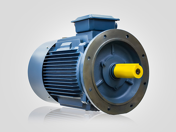 YE2-250M-4 B5 YE2-250M-4 B5